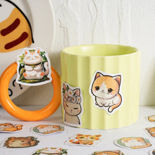 Load image into Gallery viewer, Orange Kitty Decorative Stickers