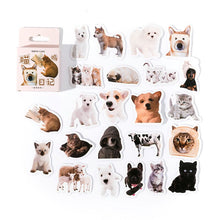 Load image into Gallery viewer, Cute Kitty and Puppy Stickers