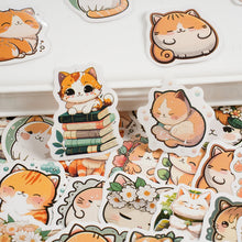 Load image into Gallery viewer, Orange Kitty Decorative Stickers