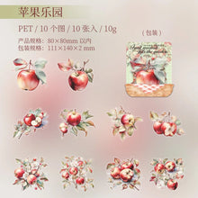 Load image into Gallery viewer, 41677854441556