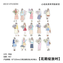 Load image into Gallery viewer, Dreams of a Japanese Princess Decorative Stickers