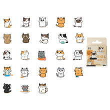 Load image into Gallery viewer, 40660522172500