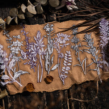 Load image into Gallery viewer, Rustic Petal Manuscript Stickers - Limited Edition