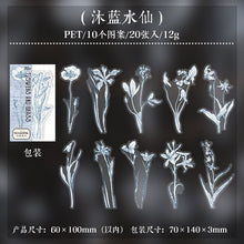 Load image into Gallery viewer, Rustic Petal Manuscript Stickers - Limited Edition