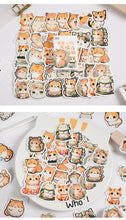 Load image into Gallery viewer, Orange Kitty Decorative Stickers