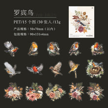 Load image into Gallery viewer, Whimsical Watercolor Wings Stickers