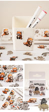 Load image into Gallery viewer, Cute Raccoon Stickers Set