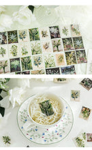Load image into Gallery viewer, Lilly of the Valley Tales Series Stickers