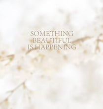 Load image into Gallery viewer, Cherry Whisper Fountain Pen Set