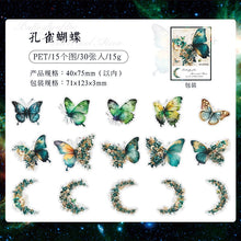 Load image into Gallery viewer, Star & Moonlit Wings Decals