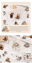 Load image into Gallery viewer, Cute Raccoon Stickers Set