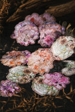 Load image into Gallery viewer, Silhouette Feast Series Animal & Nature Stickers