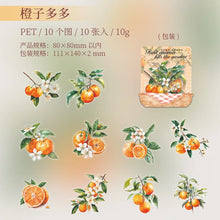 Load image into Gallery viewer, 41677854310484