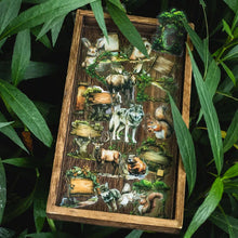 Load image into Gallery viewer, Woodland Wonders Sticker Set