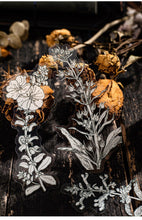 Load image into Gallery viewer, Rustic Petal Manuscript Stickers - Limited Edition