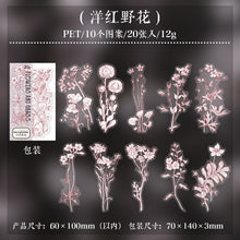 Load image into Gallery viewer, Rustic Petal Manuscript Stickers - Limited Edition