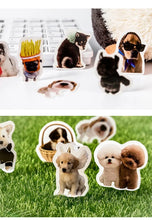 Load image into Gallery viewer, Animal & Nature Cute Stickers