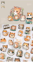Load image into Gallery viewer, Orange Kitty Decorative Stickers