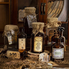 Load image into Gallery viewer, Time Traveler Series Decorative Stickers