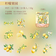 Load image into Gallery viewer, 41677854343252