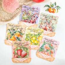 Load image into Gallery viewer, Fruitful Garden Series Decorative Stickers (10Pcs)