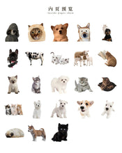Load image into Gallery viewer, Cute Kitty and Puppy Stickers
