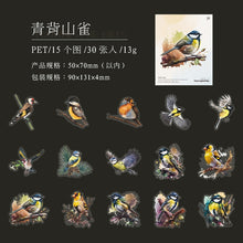 Load image into Gallery viewer, Whimsical Watercolor Wings Stickers