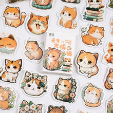 Load image into Gallery viewer, Orange Kitty Decorative Stickers