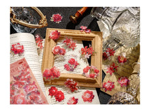 Load image into Gallery viewer, Blossom Dreamscape Stickers