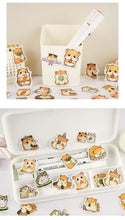 Load image into Gallery viewer, Adorable Hammy Stickers