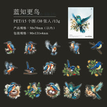 Load image into Gallery viewer, Whimsical Watercolor Wings Stickers