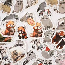 Load image into Gallery viewer, Cute Raccoon Stickers Set