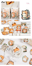 Load image into Gallery viewer, Orange Kitty Decorative Stickers