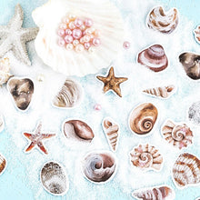 Load image into Gallery viewer, Beach Shells Decorative Stickers