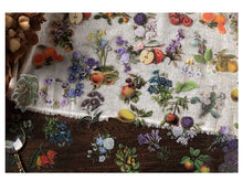 Load image into Gallery viewer, Vintage Style Nature & Animal Stickers (6 Designs)