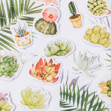 Load image into Gallery viewer, Succulent Plant Stories Stickers