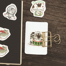 Load image into Gallery viewer, Hello Meow Master Kitty Stickers