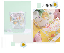 Load image into Gallery viewer, Hello Daisy Transparent Masking Tape Set