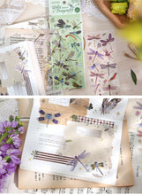 Load image into Gallery viewer, Colorful Nature Series Stickers