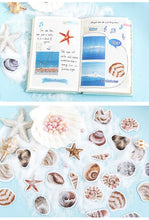 Load image into Gallery viewer, Beach Shells Decorative Stickers