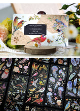 Load image into Gallery viewer, Colorful Nature Series Stickers