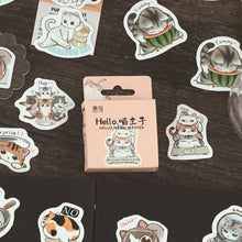 Load image into Gallery viewer, Hello Meow Master Kitty Stickers