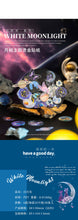 Load image into Gallery viewer, Moon & Universe Series Gold Foiled Stickers (6 Designs)