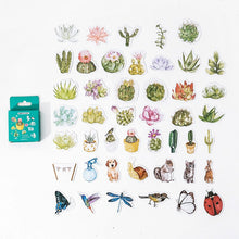 Load image into Gallery viewer, Succulent Plant Stories Stickers