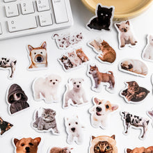 Load image into Gallery viewer, Cute Kitty and Puppy Stickers
