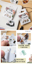 Load image into Gallery viewer, Travel Around the World Decorative Stickers