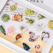 Load image into Gallery viewer, Succulent Plant Stories Stickers