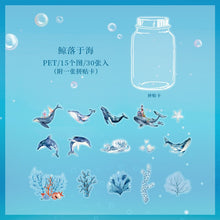 Load image into Gallery viewer, Limited Edition - Travel Under the Sea Floors Stickers - ( 8 designs)