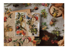 Load image into Gallery viewer, Vintage Style Nature & Animal Stickers (6 Designs)