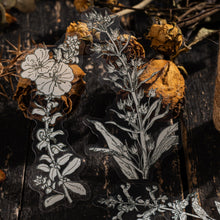 Load image into Gallery viewer, Rustic Petal Manuscript Stickers - Limited Edition